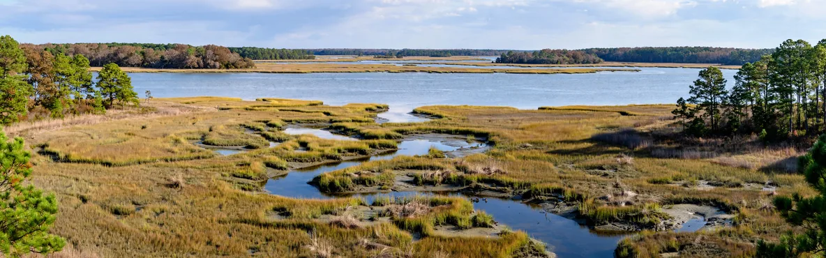 Exmore, VA: A Charming Coastal Town for Nature Enthusiasts